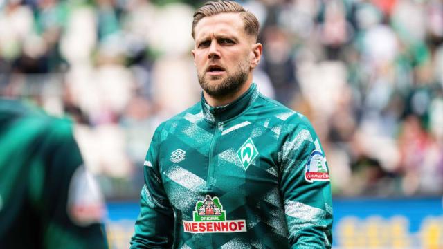 迷带来了喜 迷带来了喜